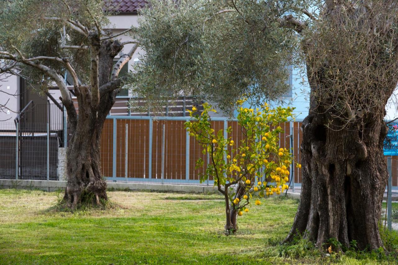 Kostas Studios Nidhrion Exteriör bild